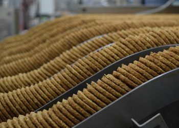 Galletas Gullon-fabrica