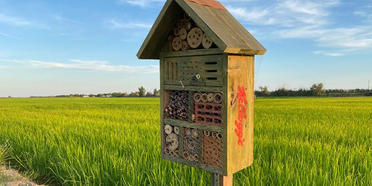 Kellogg apuesta por proteger la biodiversidad biológica