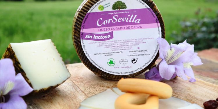 Queso CorSevilla