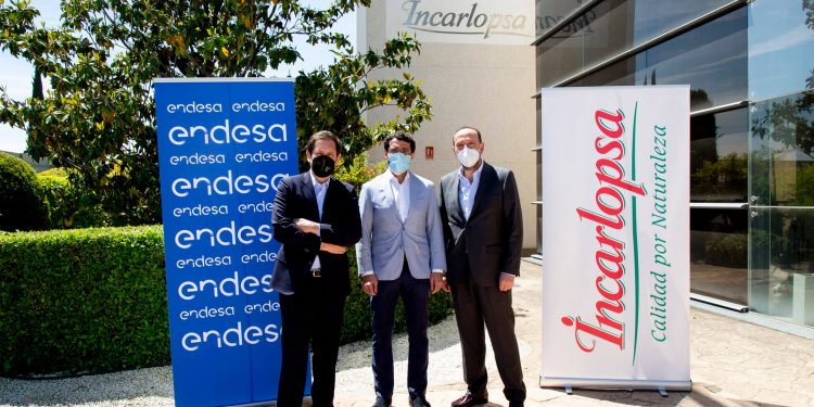 Incarlopsa invierte cinco millones de euros en instalar paneles solares