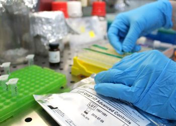 ¿Qué certificaciones deben cumplir las frutas y verduras antes de llegar al consumidor?