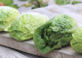 Se mantiene el consumo de verdura en los hogares, siendo la lechuga la más elegida en primavera