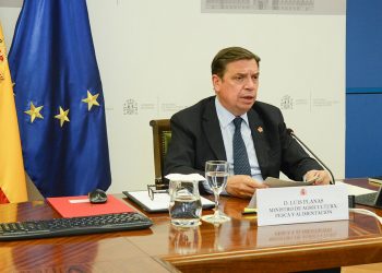 Planas-Reunion pesca