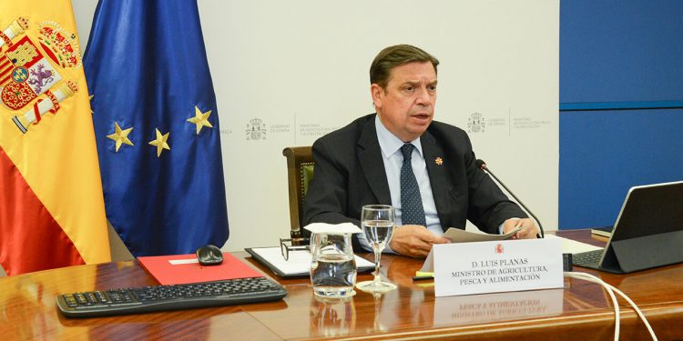 Planas-Reunion pesca