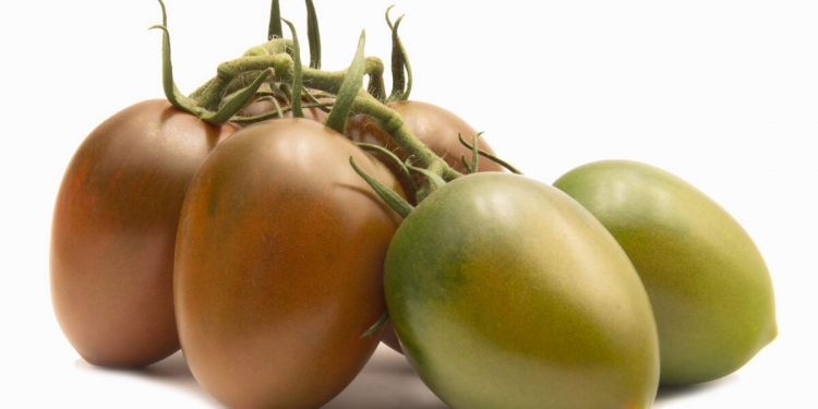 Top Seeds International presenta su nueva gama de tomates