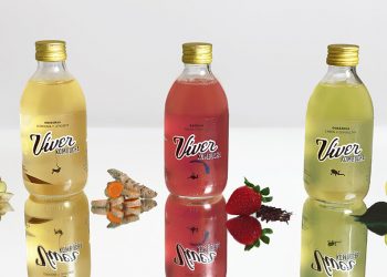 Viver Kombucha