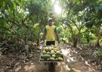 Cacao-Mondelez International