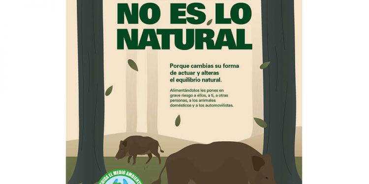 Lanzan una campaña para alertar de los riesgos de dar de comer a los animales silvestres