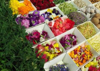 Gastronomic Forum Barcelona