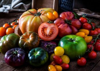 Tomates-Carrefour