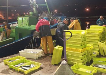 Bonito del norte en Carrefour