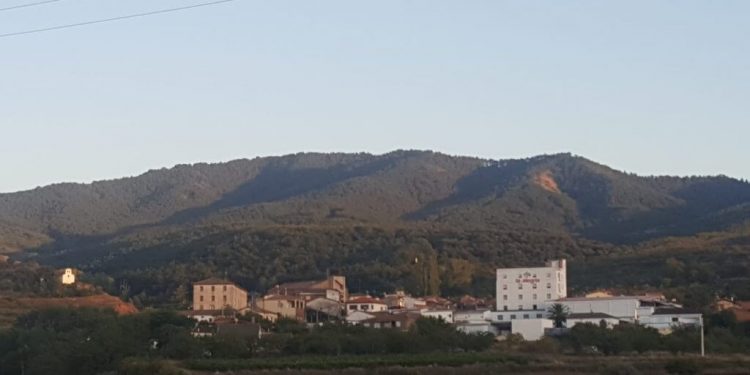 La Alegria Riojana