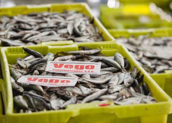 Vegalsa-Eroski incrementa su inversión a proveedores locales