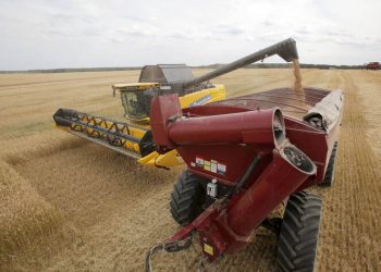 Agricultura