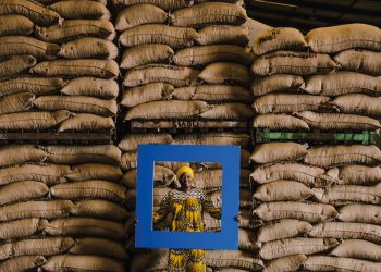 Chocolates Tony´s Chocolonely