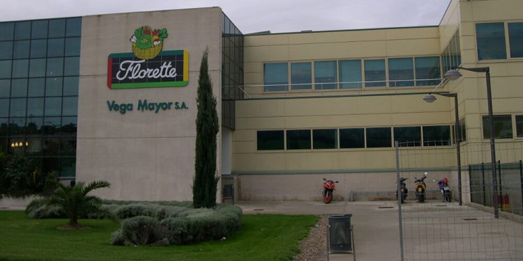 Florette VegaMayor