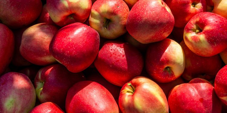 La manzana SweeTango