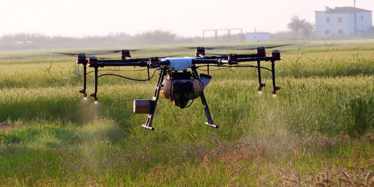 Nomen Foods incorpora drones para fumigar sus arrozales