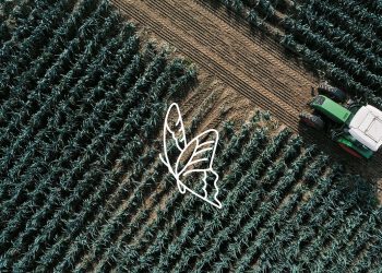 Nomad foods apuesta por el desarrollo sostenible