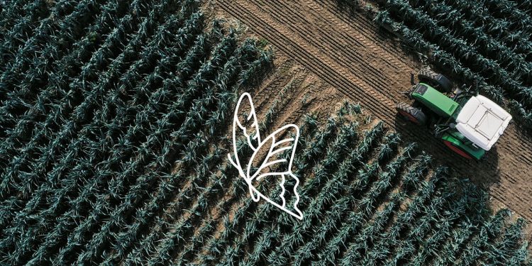 Nomad foods apuesta por el desarrollo sostenible