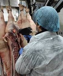 Lenz crea herramienta de optimización