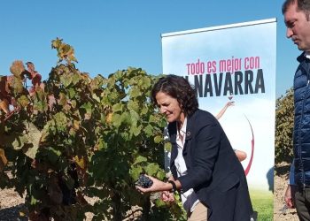 Cosecha DO Navarra 2021