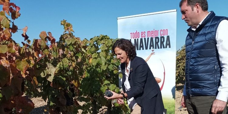 Cosecha DO Navarra 2021