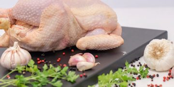 Pollo