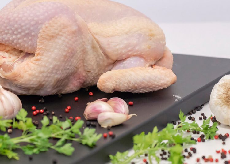 Pollo