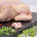 Pollo