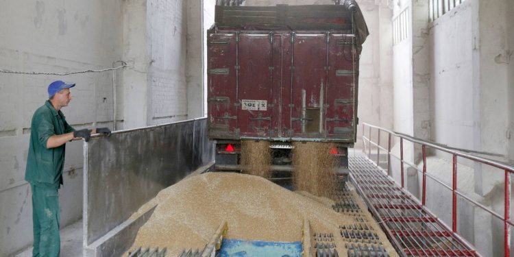 Precio Alimentos FAO