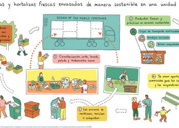 Infografía contenedor procesado