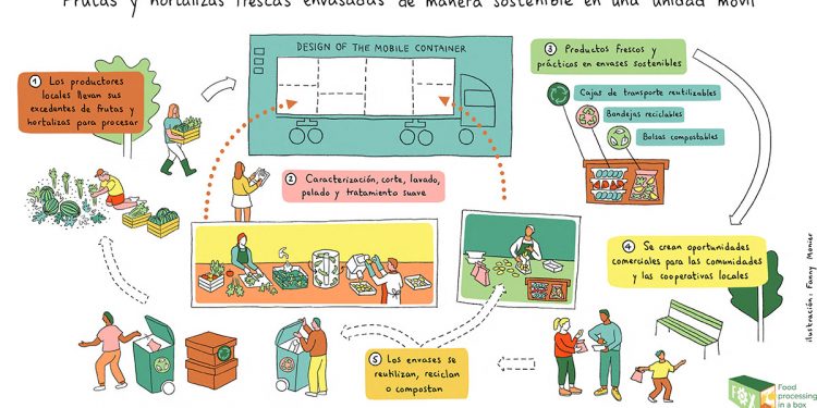 Infografía contenedor procesado