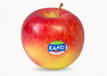 Manzana Kanzi