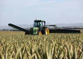 Agricultura AIS Group