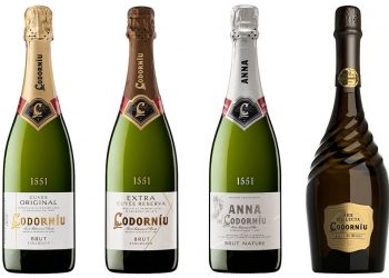 Nueva imagen de Codorniu