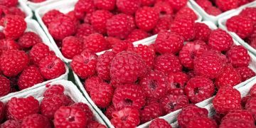 Frambuesas