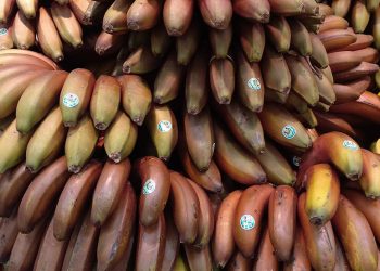 Plátano Rojo Alcampo