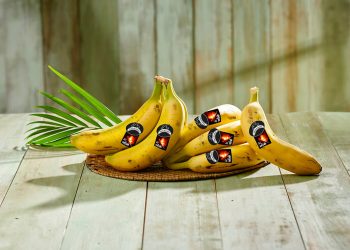 Plátano de Canarias del volcán Lidl