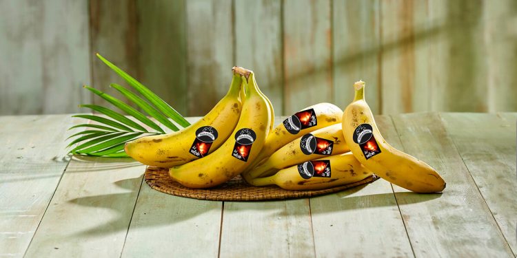 Plátano de Canarias del volcán Lidl
