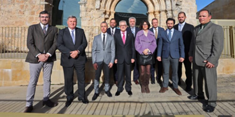 Pleno del Consejo de Ribera del Duero