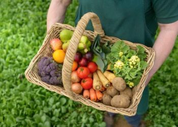 La alimentación no tiene desperdicio cerró 2021 con más de 700 empresas adheridas