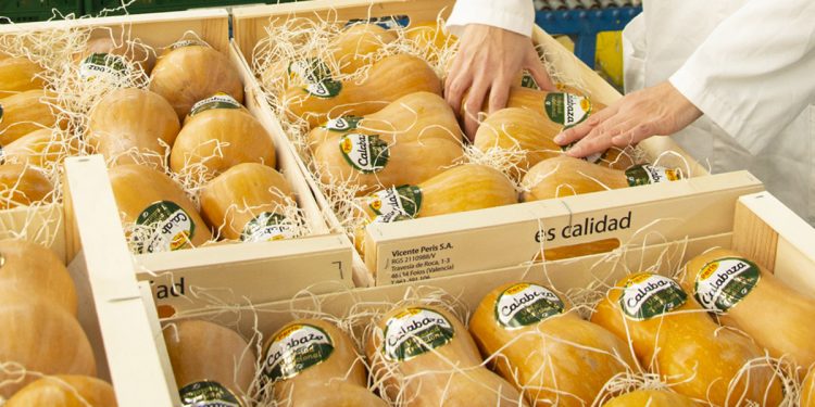 Peris calabaza
