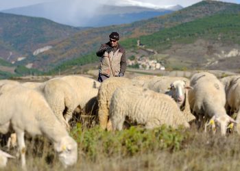Ternasco de Aragón 28012022