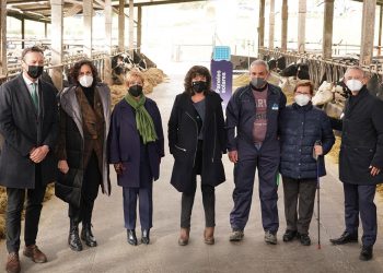 sostenibilidad ganadería