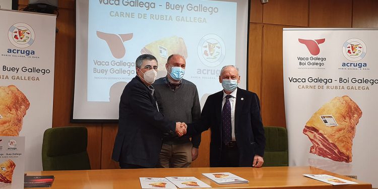 Acuerdo carne de vacuno Galicia