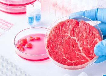 Carne de laboratorio 08022022