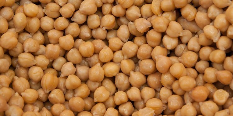 Garbanzos 09022022