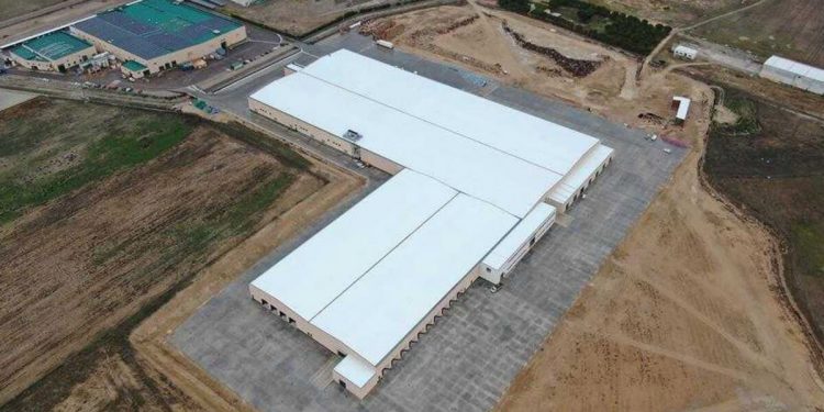 Patatas Meléndez 09022022