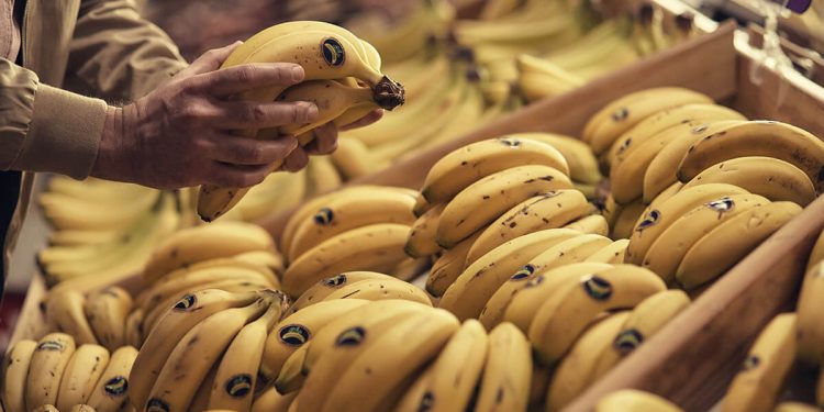 Plátano de Canarias